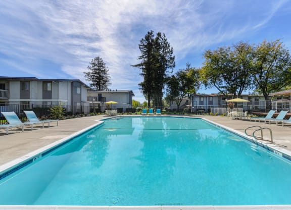 Community swimming pool with bright blue skies and mature trees in the distance. at Renaissance Park Apartments, Davis