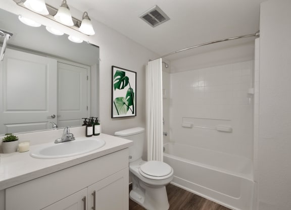 Bathroom with a Bathtub at Rush River Apartments, California