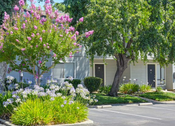 Community Exterior at Silverstone Apartments, Davis, California
