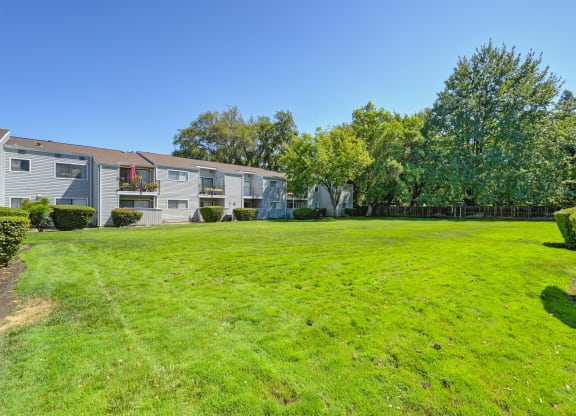 a large green lawn in front of some apartment buildings at Silverstone Apartments, California, 95618
