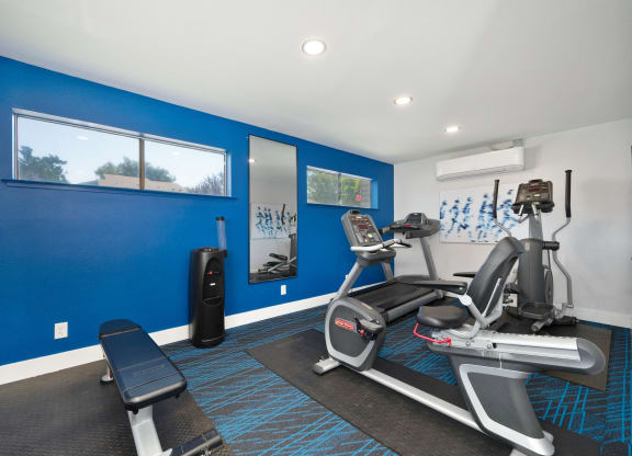 Fitness Center with Yoga Balls, Hardwood Inspired Floor, Treadmills, Ellipticals, and Exercise Bike at Silverstone Apartments, Davis, CA
