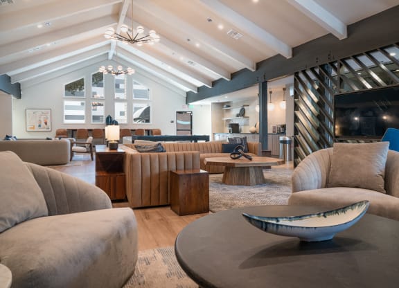 a living room with couches and chairs and a fireplace