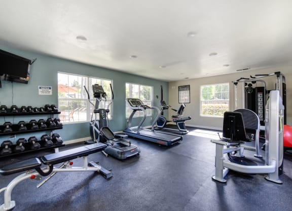 Fitness center with treadmill, cardio machines, free weights and teal blue accent wall at Vineyard Terrace Apartments, California 94558