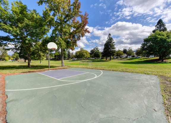 Nearby neighborhood park with 1/2 court basket ball at Vineyard Terrace Apartments, Napa