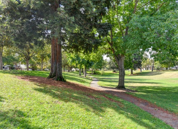 Nearby neighborhood park with waling trails and mature trees and landscaping at Vineyard Terrace Apartments, Napa, CA, 94558