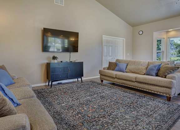 A living room with a couch, a rug, and a television.