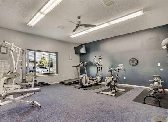 A well-equipped home gym with a variety of exercise machines.