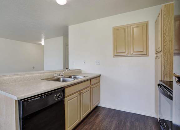 A kitchen with a sink, dishwasher and cabinets.