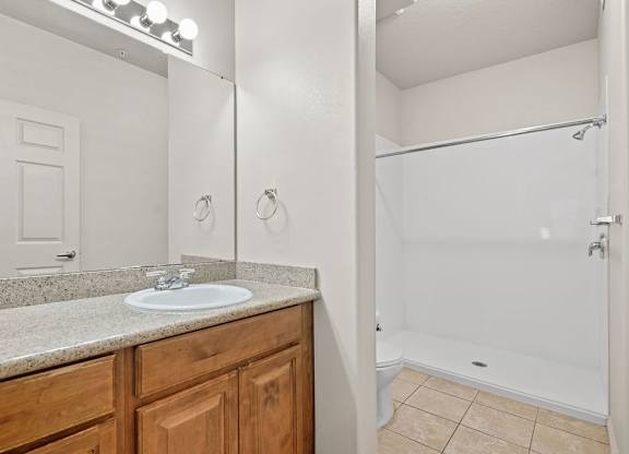 a bathroom with a sink and a shower and a mirror