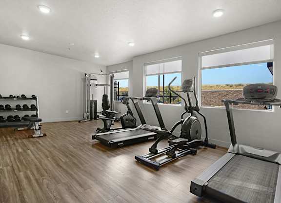 the gym in the home is pictured