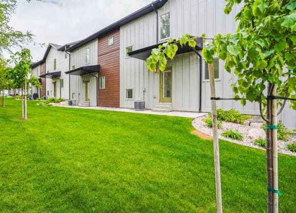 a row of houses with a yard and grass