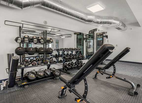 A gym with a row of treadmills and a rack of dumbbells.