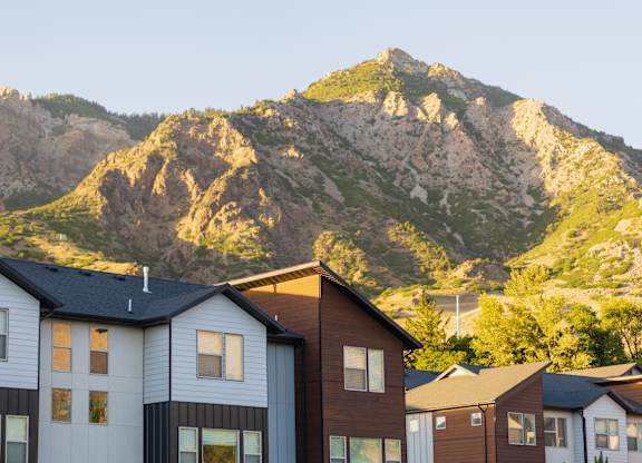 A mountain is in the background of a row of houses.