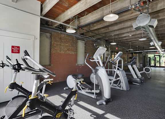 A gym with a row of exercise bikes.