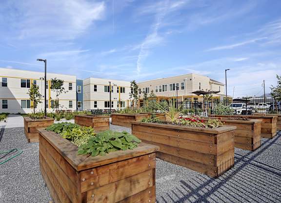 A series of raised garden beds are in front of a building.