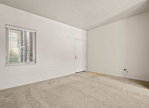 A room with a carpeted floor, a door, and a window with blinds.