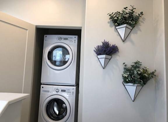washer & Dryer