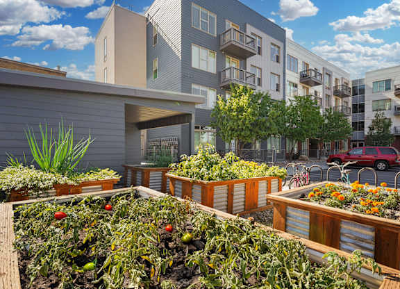 Resident gardens