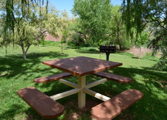 a picnic table in a park with a grill