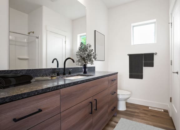 a bathroom with a sink and a toilet