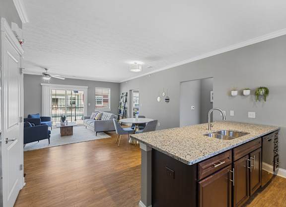 Spacious Open Concept Kitchen and Living Rooms