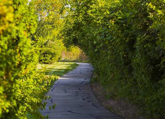 Walking Trails at The Retreat at Carmel, Carmel, 46280