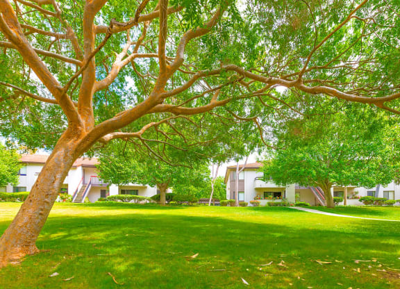 Beautiful Greenbelt at Village Park Apartments in Encinitas CA