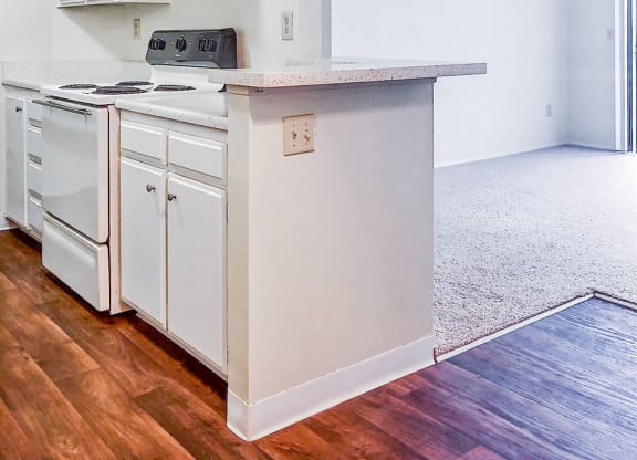 Village Park Apartments Kitchen and Living Room Encinitas California