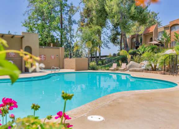 Outdoor swimming pool with pink flowers beside it at Woodlake, Escondido, CA, 92027