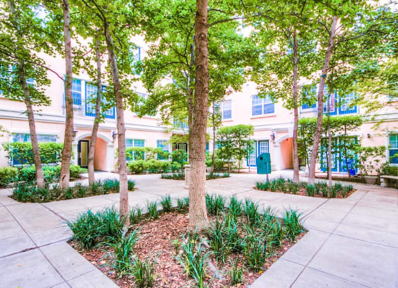 a courtyard with trees and plants in front of a building