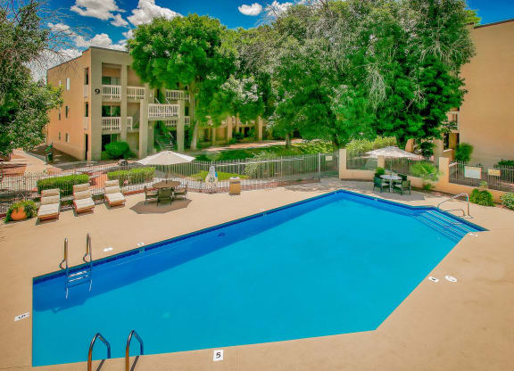 a swimming pool at the resort on a sunny day