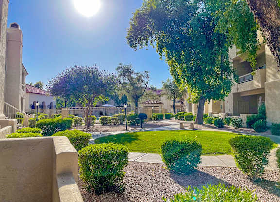 A sunny day in a well-maintained garden with a clear blue sky.