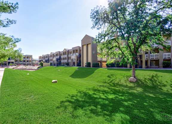 A tree stands in a grassy area in front of a building.