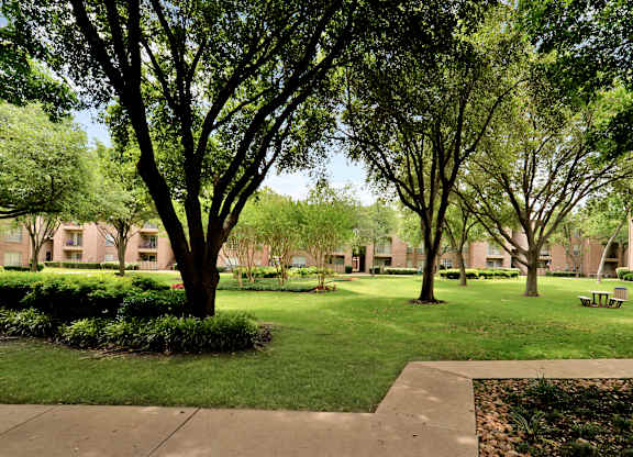 A tree-lined walkway leads to a grassy area with a bench.