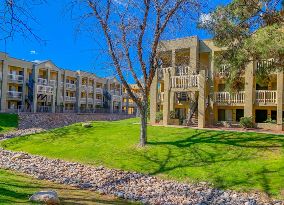 a grassy area with a tree in front of an apartment building