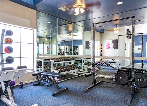 A gym with a variety of equipment including weights and a bench.