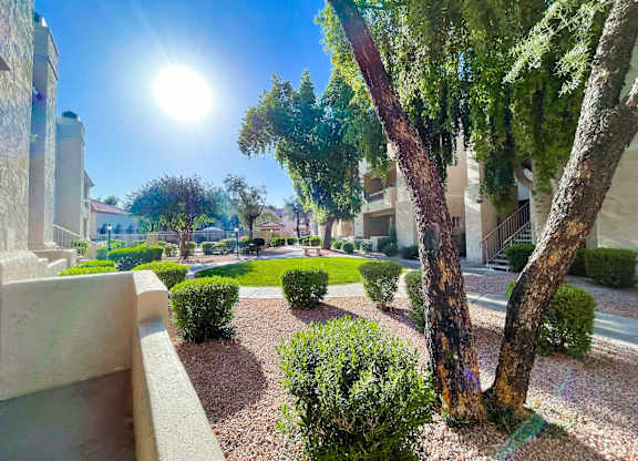 A sunny day in a well-maintained garden with trees and bushes.