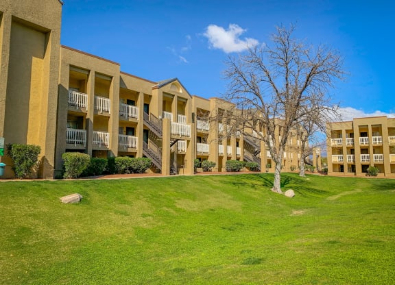 an apartment building with a green lawn and a tree