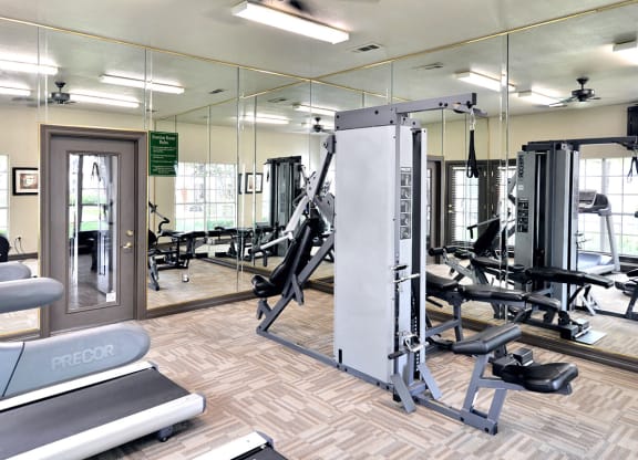 High energy fitness center
