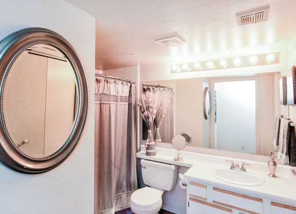 Riverside Park Apartments Tulsa For Rent Bathroom