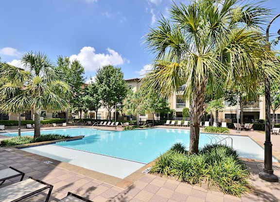 A pool surrounded by palm trees and plants.