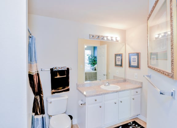a bathroom with a sink toilet and a mirror