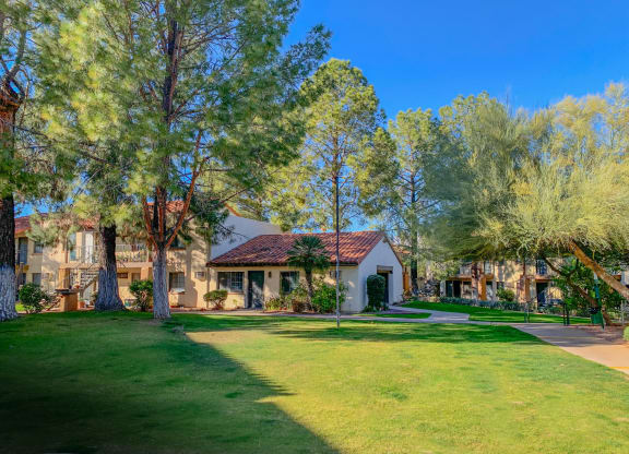 Mature landscaping and trees at La Hacienda Apartments in Tucson, AZ!