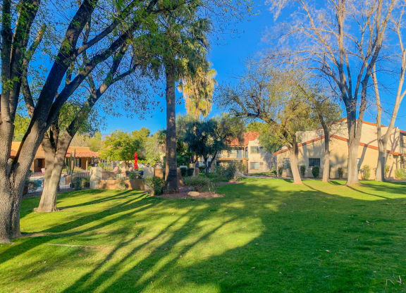 Community  filled with mature trees and lush landscaping at La Hacienda Apartments in Tucson, AZ!