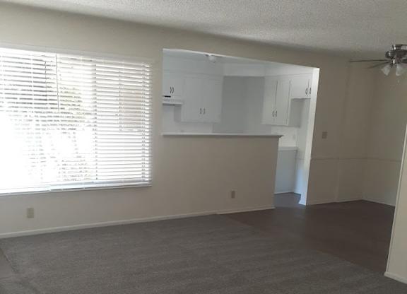 A room with a carpeted floor and a ceiling fan.