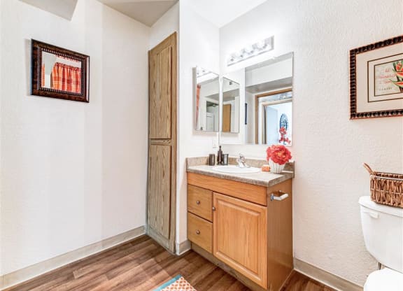 Mirrored bathroom vanity of Country Club at Valley View Senior Apartments in Las Vegas, NV, For Rent. Now leasing 1 and 2 bedroom apartments.