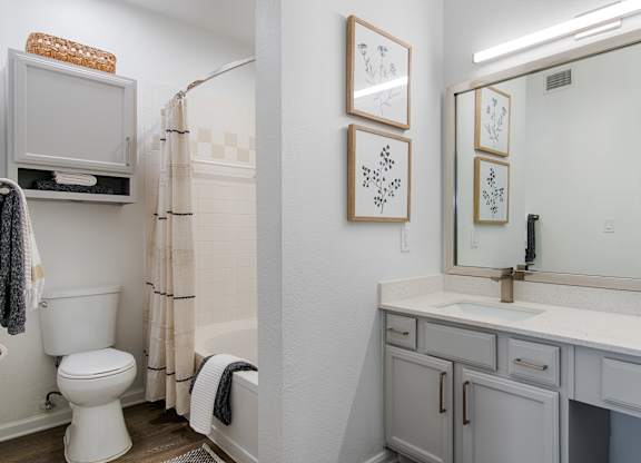 Bathroom with grey vanity and framed botanical artwork at Silverado Apartments, Frisco, TX