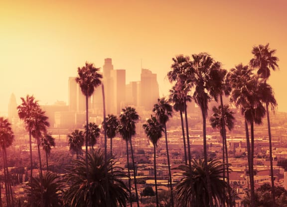 a view of the los angeles skyline with palm trees in the foreground