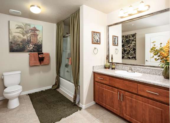 A bathroom with a toilet, sink, and shower. at Superstition Canyon Apartments, Mesa, 85209