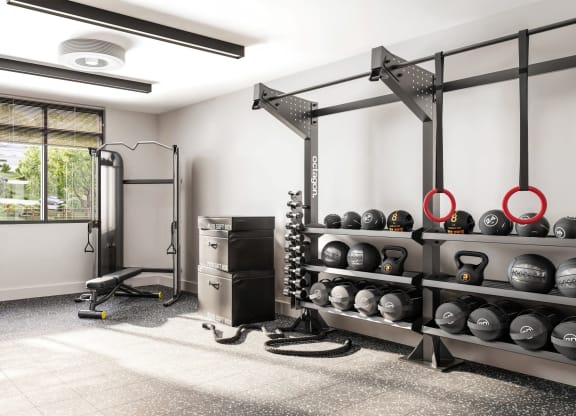 a gym with weights and other equipment in a room with a window at Link Apartments® CYKEL Apartments, North Carolina, 28208